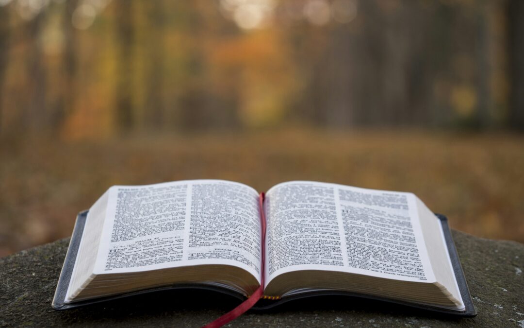 Aw Ka Bible
